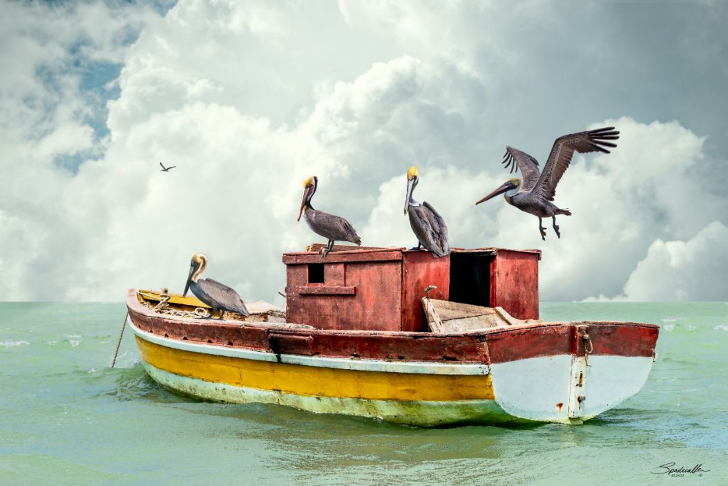 Pelican Retreat